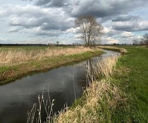 Czy rzeki pod Wrocławiem wyleją? Alert IMGW