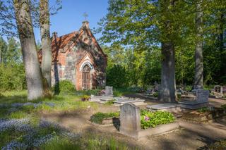 Ścieżka edukacyjna Góra Dylewska. Zobacz zdjęcia