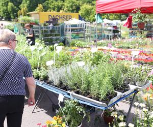 Parkowy Kiermasz Kwiatowy w Parku Śląskim