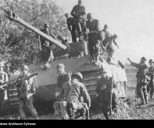 Operacja Barbarossa. Pojedynek potworów,  jak dawni sojusznicy stali się wrogami