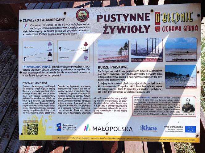 Największa pustynia w Polsce leży w Małopolsce. Odwiedza ją tysiące turystów [GALERIA]