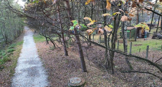 Idealne miejsce na jesienny spacer w Śląskiem - Kamień 