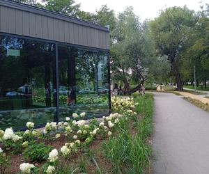 Park centralny w Gdyni. Atrakcje dla dzieci i dorosłych