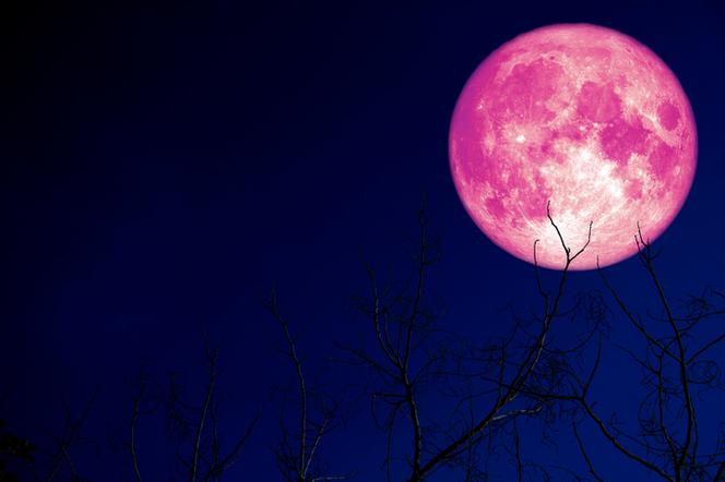 Truskawkowa pełnia księżyca