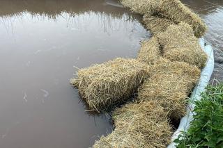 Po gigantycznym pożarze w Siemianowicach Śląskich, prokuratura wszczyna śledztwo