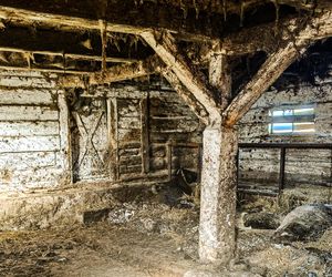 Zagłodził stado krów, a także kury