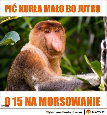 Sezon na MORSOWANIE otwarty! Zobacz najlepsze MEMY!