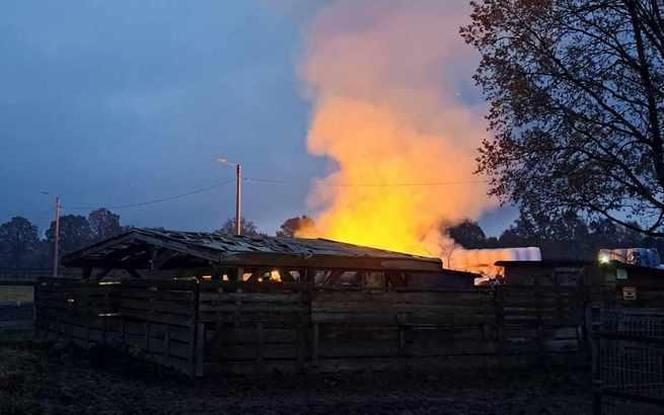 Pożar w Przystani Ocalenie w Ćwiklicach