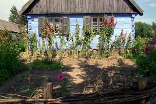 Muzeum Wsi Mazowieckiej - skansen w Sierpcu