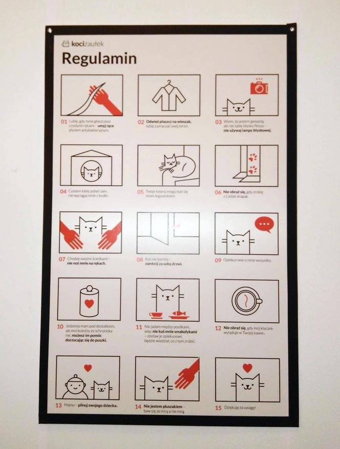 Katowice: Pierwsza na Śląsku Kocia Kawiarnia działa już trzy tygodnie! [ZDJĘCIA]