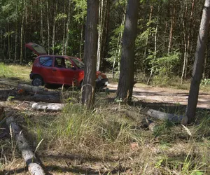 Złodzieje drewna zatrzymani w regionie