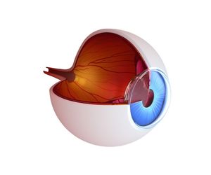 Odklejenie siatkówki: przyczyny, objawy, leczenie