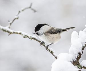 Zima w natarciu. Będzie mroźno i bardzo ślisko na drogach. 27 listopada pogoda nie będzie rozpieszczać