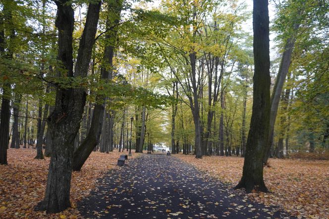 Park Lubomirskich w Białymstoku jesienią 