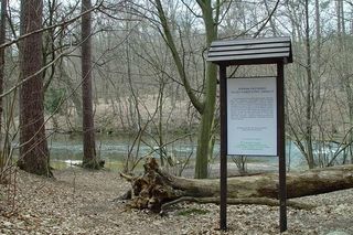 Uroczysko Piekło w Borach Tucholskich