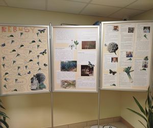 Uczcili Święto Warzywa 2025: Dzień Pora w Środowiskowym Domu Samopomocy w Siedlcach