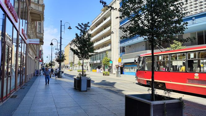Katowice jak patelnia. Obowiązuje ruch cieniostronny. Nawet gołębie chowają się w cieniu