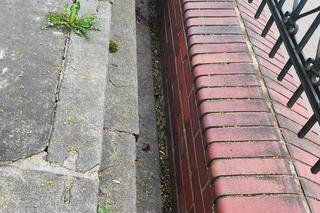 Zniszczony krzyż  w parafii Św. Jadwigi w Chorzowie