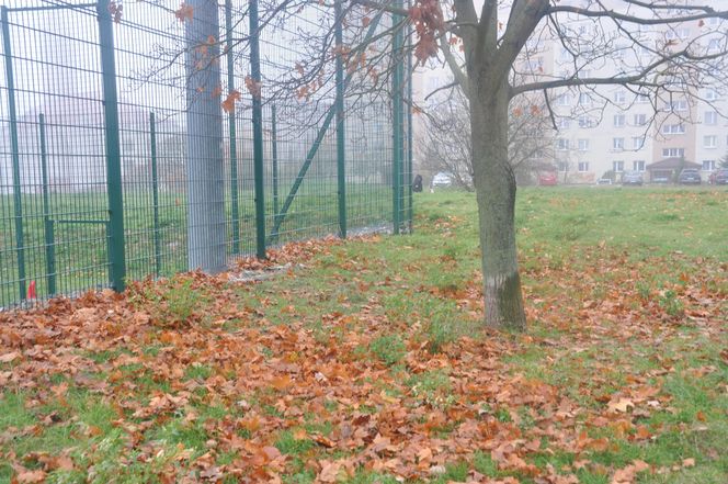 Jesień na Osiedlu Świętokrzyskim i Szydłówku w Kielcach