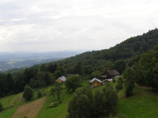 Widok z wieży na Brzance