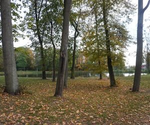 Park Lubomirskich w Białymstoku jesienią 