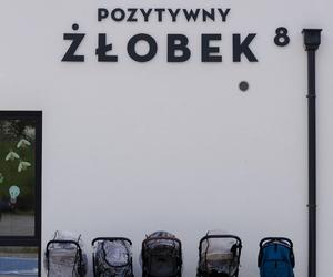 Edukacja estetyczna najmłodszych: metalografiki i murale na trójmiejskich szkołach, przedszkolach, żłobkach