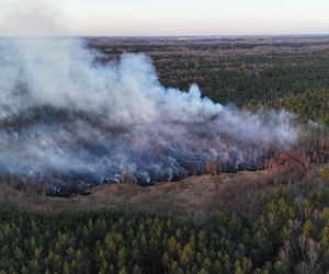Płonie poligon pod Warszawą. Dym widać z daleka. Ogień nie jest jeszcze opanowany