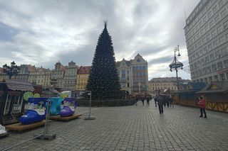 Co jest nie tak z nową choinką we Wrocławiu? Brakuje gałązek, czubek jest niedopracowany