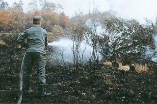 Największy pożar lasu w Europie. Burza ogniowa strawiła las powierzchni Paryża