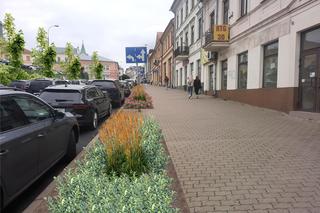 Centrum Lublina ma się zazielenić. Będą też zmiany w organizacji ruchu 