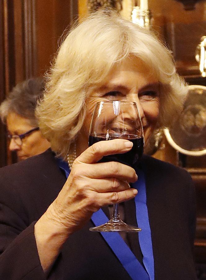 Camilla na odwyku! Szokujące plotki o brytyjskiej monarchii 