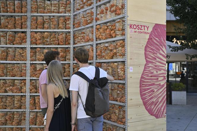 Różowe grzyby na placu Pięciu Rogów w Warszawie. Intrygujące rusztowanie, przechodnie w szoku