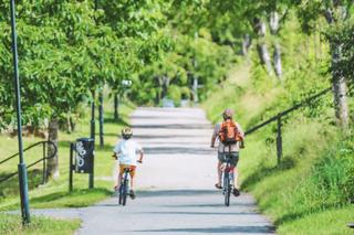 Finał Rowerowego Maja 2024. W planach kolorowy przejazd i piknik rodzinny