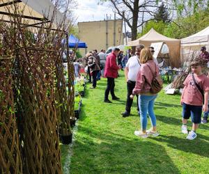 Impreza Wiosna na polu i w ogrodzie w Siedlcach co roku cieszy się ogromnym powodzeniem mieszkańców miasta i regionu