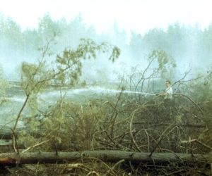 Pożar lasu w Kuźni Raciborskiej w 1992 roku