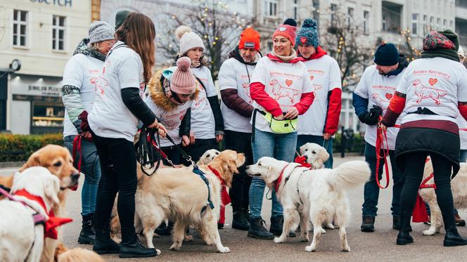 Po raz 13. golden retrievery będą grały w Poznaniu z WOŚP!