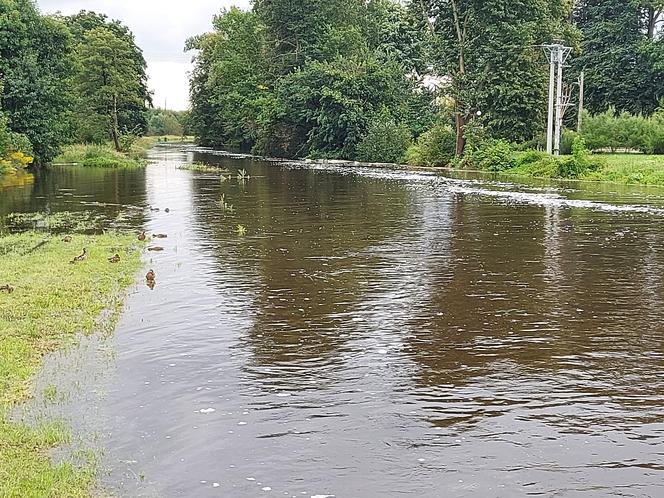 Alarm przeciwpowodziowy w Wąchocku. Burmistrz ogłosił alarm