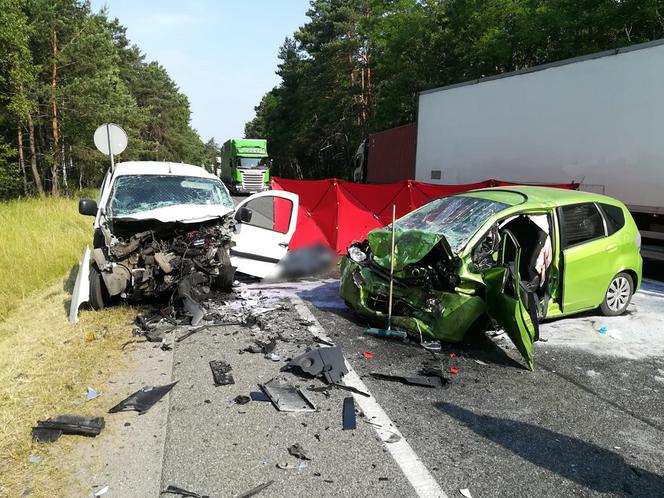 Tragiczny wypadek na DK 10 w Cierpicach