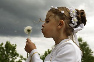 Po komuniach... donosy. Zaskakujące spostrzeżenia skarbówki 