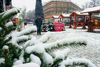 Jarmark w Szczecinie dobiega końca. Będą rozdawać choinki!