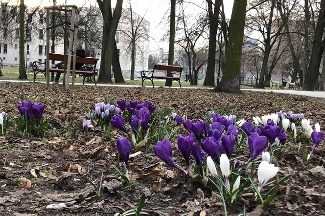 Czuć wiosnę w parku Leśniczówka!