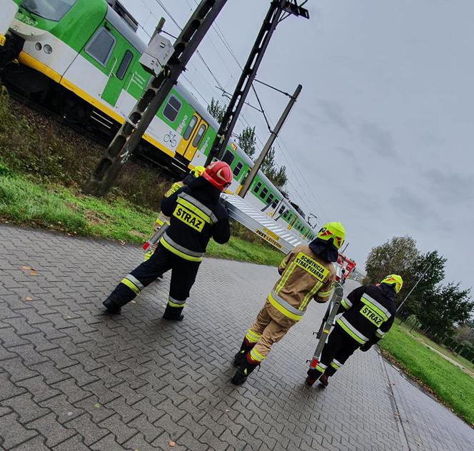 Czerwonka-Parcel. Rzucił się pod pociąg Kolei Mazowieckich! Tragiczna śmierć [ZDJĘCIA]