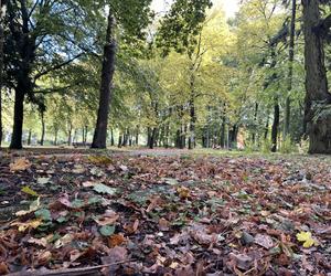 Park Kopernika w jesiennej scenerii