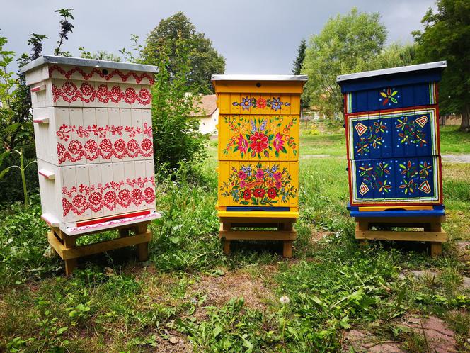 Pasieka Społeczna Rzuchowa