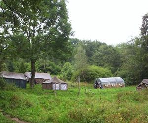 Łopienka. Wieś na Podkarpaciu, która słynie z corocznego odpustu 