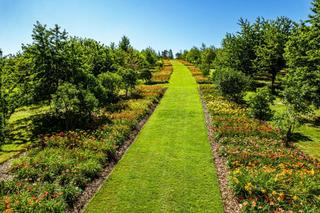 Arboretum Wojsławice pod Wrocławiem