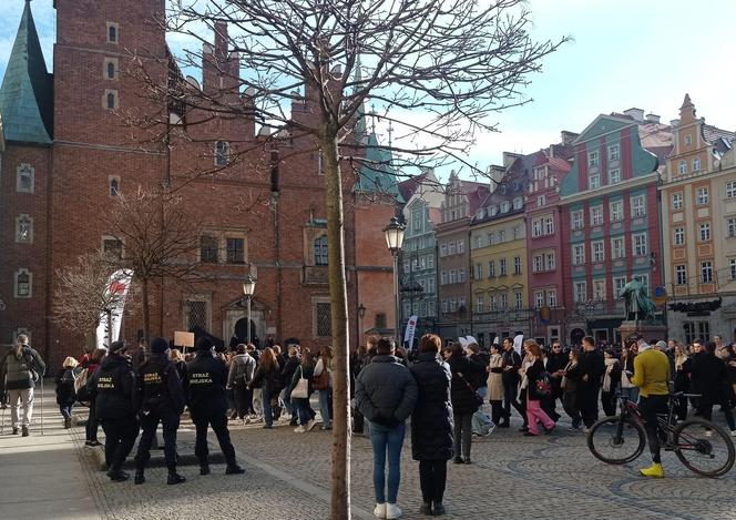 Maturzyści zawładnęli rynkiem we Wrocławiu. Po raz 23. zatańczyli Poloneza dla Fredry