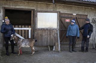 Rolnicy. Podlasie, odcinek 15 (sezon V)