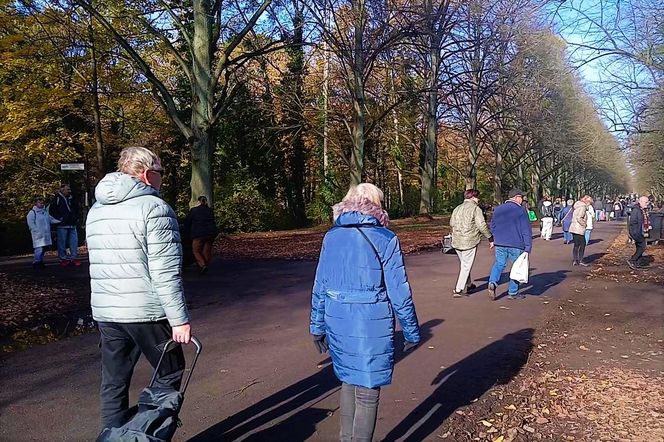 1 listopada na Cmentarzu Centralnym w Szczecinie