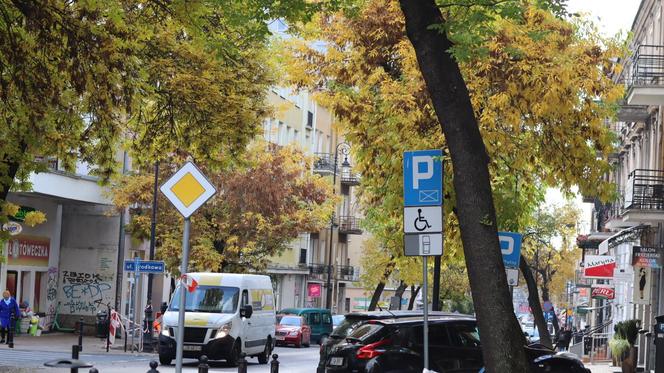 Nowa pora roku już jest w mieście. Lublin przybrał już jesienne barwy. Zobaczcie!